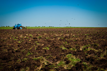 field