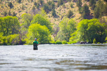 Fly Fisherman Casting on the Deschutes River