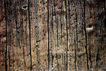 Texture of the old weathered wood.