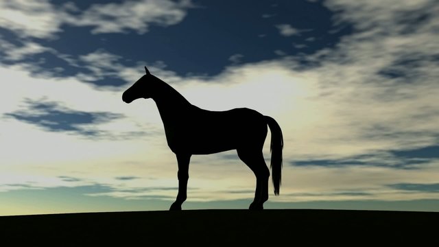 Лошадь green screen. Лошадка футаж. Футаж лошади на зеленом фоне. Футажи лошади. Лошадь футаж.