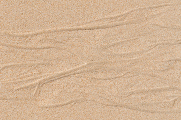 Fototapeta na wymiar sand beach texture and background
