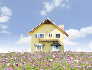  house with landscaping on the front