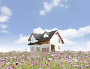  house with landscaping on the front