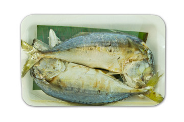 horse mackerel on white background