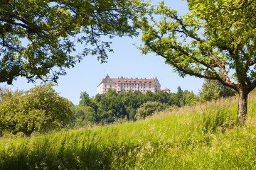Fototapeta na wymiar Schloss Heiligenberg am Bodensee