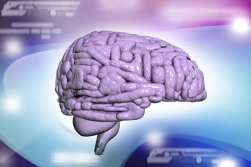 Brain background