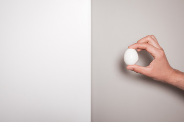 Fototapeta na wymiar Hand holding an egg against a dual colored background