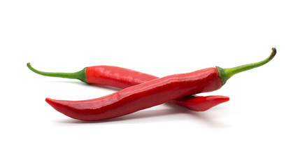 Hot red chili or chilli pepper isolated.