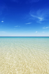Tropical sea background