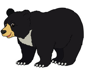 Cartoon animal - bear - flat coloring style