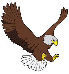 Cartoon animal - eagle - flat coloring style