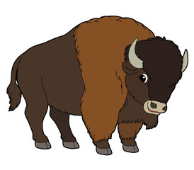 Obraz premium Cartoon animal - buffalo - flat coloring style