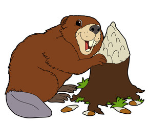 Cartoon animal - beaver - flat coloring style © agaes8080
