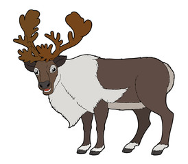 Cartoon animal - deer - flat coloring style