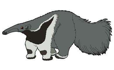 Cartoon animal - ant eater - flat coloring style