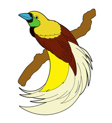 Cartoon animal - paradise bird - flat coloring style