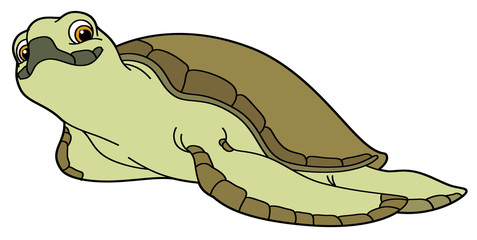 Cartoon animal - turtle - flat coloring style - illustration for children
