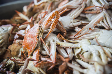 Lots of steamed blue crabs
