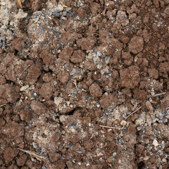 Bad quality earth soil