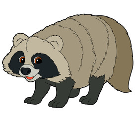 Cartoon animal - raccoon - illustration for the children