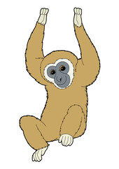 Cartoon animal - ape - illustration for the children