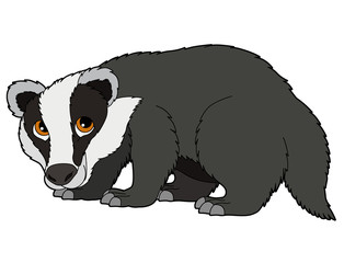 Cartoon animal - badger - illustration for the children