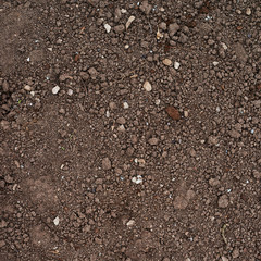 Brown earth fragment