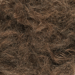 Cut hairs fragment