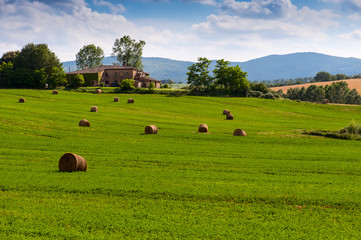 Tuscan farmhouse, Italy