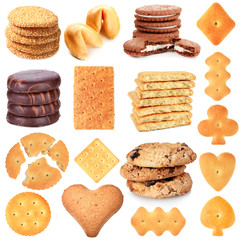 Collage of tasty cookies isolated on white