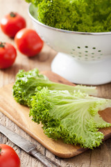 Fototapeta na wymiar fresh lollo leaves and tomatoes on chopping board for salad