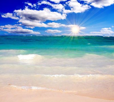 Caribbean beach and sun shining. 