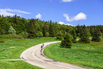 Beautiful road in green fields, natural landscape