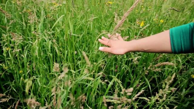 Feel the nature