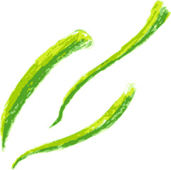 hand draw sketch, leaf