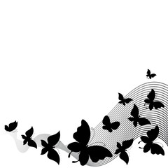 butterflies design