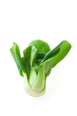 bok choy (chinese cabbage) isolated on white background