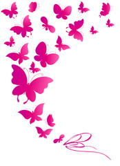 butterflies design