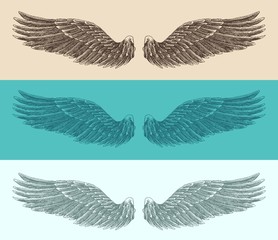 angel wings set illustration, engraved style, hand drawn