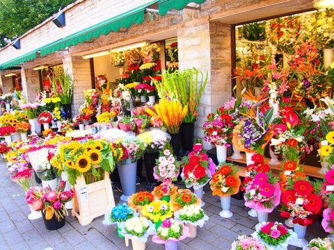 花屋images Browse 6 243 Stock Photos Vectors And Video Adobe Stock 花屋images Browse 6 243 Stock Photos Vectors And Video Adobe Stock