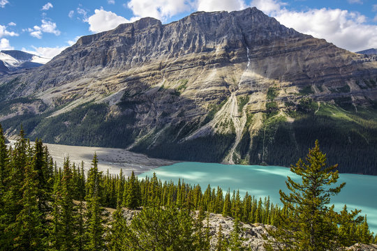 Peyto Lake Alberta