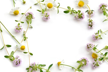 Naklejka na ściany i meble herbal flowers