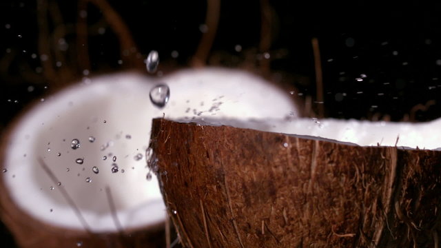 Water raining down on coconut on black background