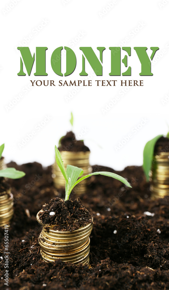 Poster Business concept: golden coins in soil with young plants,