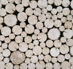 Cut wood logs background