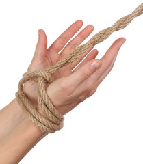 Tied hands, isolated  white