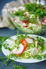 fresh vegetable salad