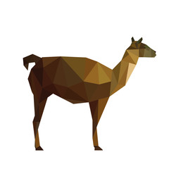 Illustration of abstract origami guanaco lama © dragoana23