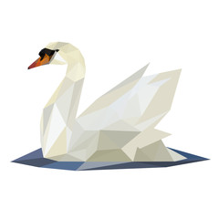 swan on lake © dragoana23