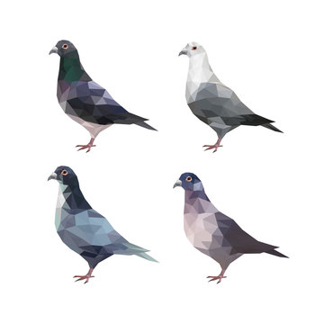 Set of different polygonal pigeons